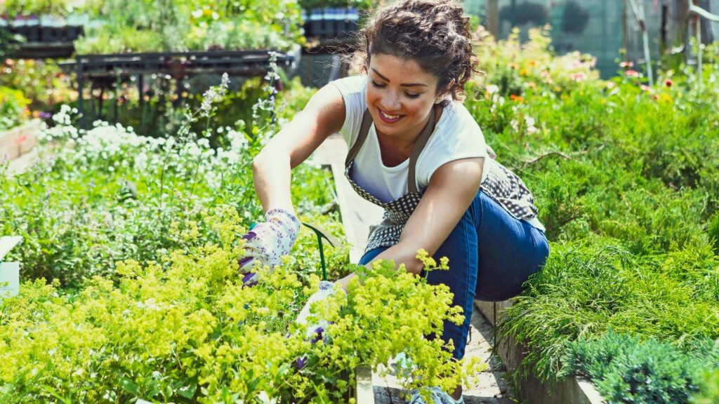 Highlighting Key Skills for Groundskeeping