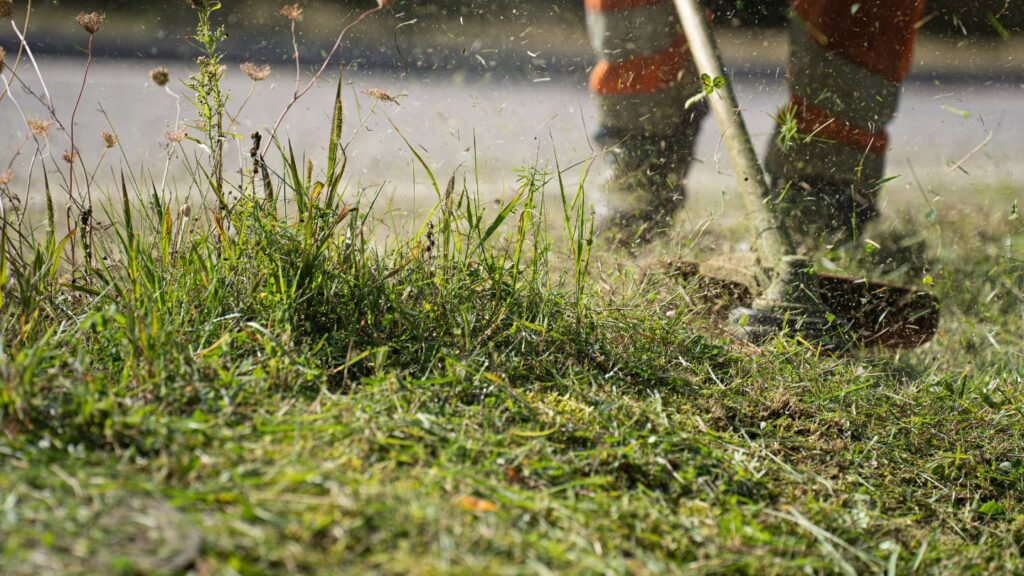 Showcasing Your Groundskeeper Experience